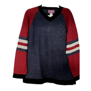 Mens Sweater SZ L Wool Blend Sweater V Neck Preppy College Football Athlete